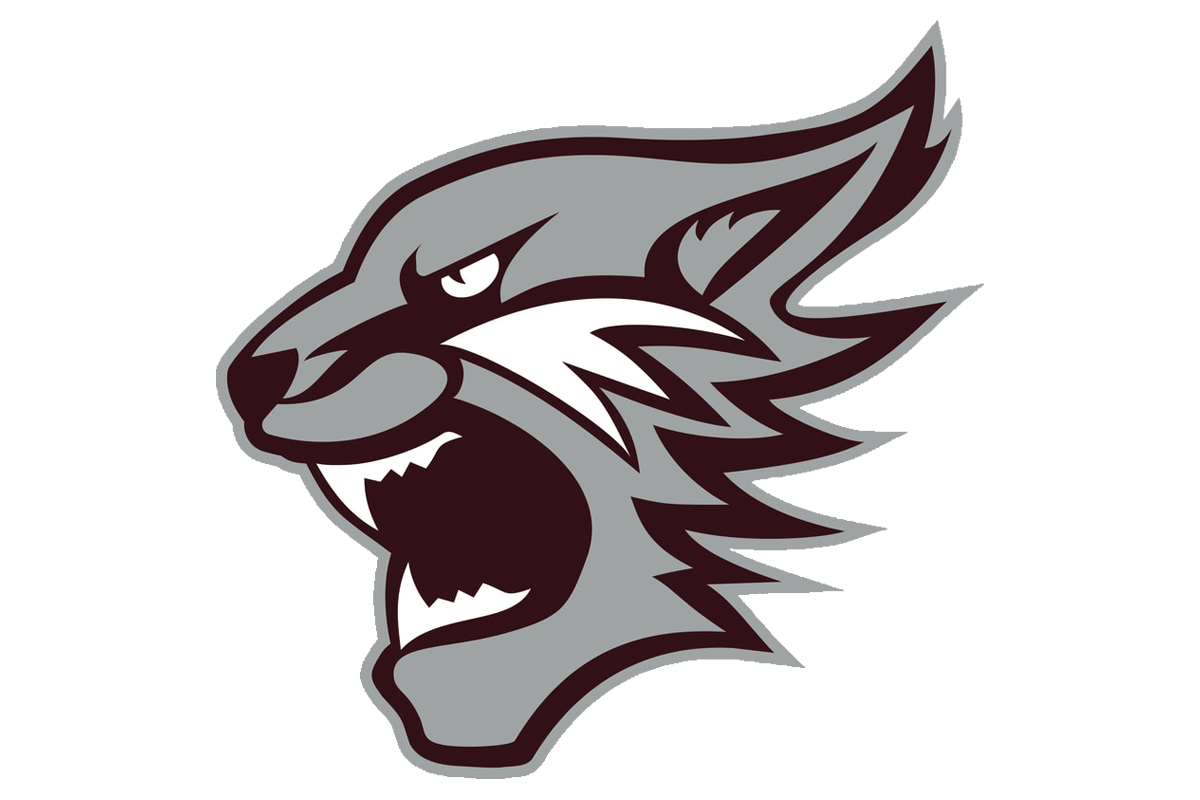 District Logo